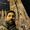 Matias Pereyra's Photo