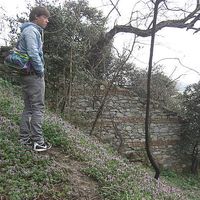 Volker Nüske's Photo