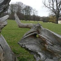 Le foto di Zouli Romaine