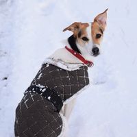 Fotos de Rachel Barlow