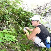 Photos de Vikki Trupin