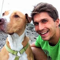 Lorenzo Talia的照片