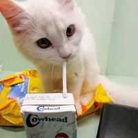 Mayfair Haley's Photo