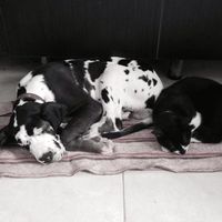 Jorge Medina的照片