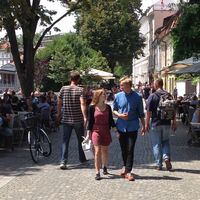 August Lohse's Photo