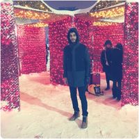 Osama Mohammed的照片