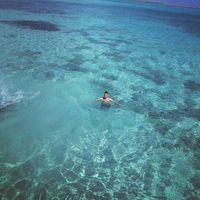 Hossam Mahmod的照片