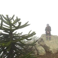 Фотографии пользователя Paula Fernanda Castillo