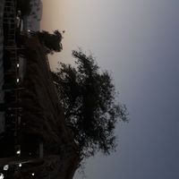 Фотографии пользователя Ayman hi