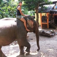 Amanda Casseron's Photo