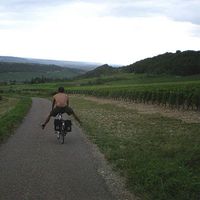 Victor Melloult's Photo