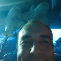 Photos de Baher Mousa