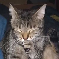 Fotos de Laura Antonucci