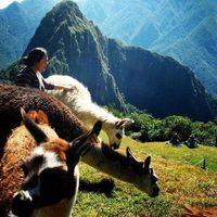 Ingrid Aldama's Photo