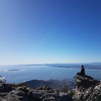 Camille Raison's Photo