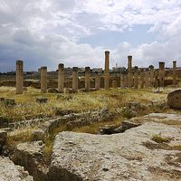 Patrice Jones的照片