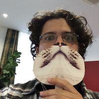 Fotos von Daniel Bernacchium