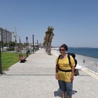 Sahar  Sharifi的照片