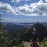 Andrea Dipinto的照片