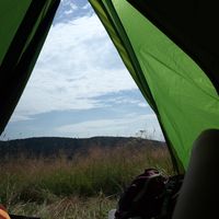 Giulia Bonelli's Photo