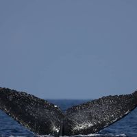 Le foto di Conrad Chilack