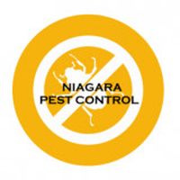 Fotos de Niagara  Pest