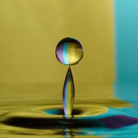 Dakota Proutt's Photo