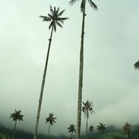 Fotos de Belem Piera Fernández Urtubium