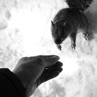 Haneefah Abdullah的照片