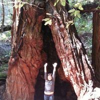 Jennifer Leslie's Photo