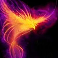 Fotos von Максим Самсыка