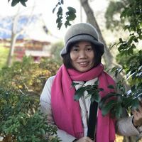 Minh Anh Do的照片