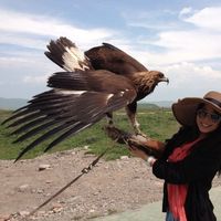 Fotos von Kaili Chou