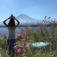 Фотографии пользователя Tracy Zhu