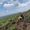 Vuong Nhung's Photo
