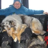 Sebastien Coté's Photo