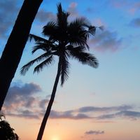 Claudel Nadège的照片