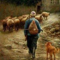 Youssef Elmessellek's Photo