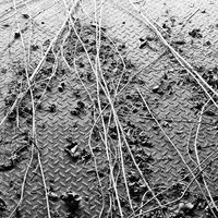 Shabaka James's Photo