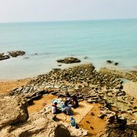 Saber Rahimi's Photo