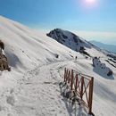 Winter Snow Trek 's picture