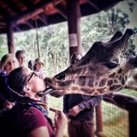 Montserrat Flores的照片