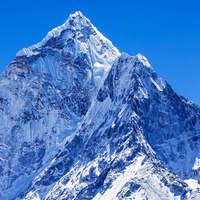 Alisa Bertonchelli的照片