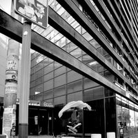 Antoine Le Coq's Photo