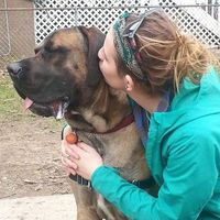 Zdjęcia użytkownika Karolina Lisowski