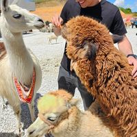 Omar Garcia的照片