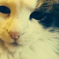 Antony Rmblt's Photo