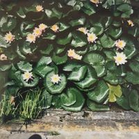 Agnieszka Chenc的照片