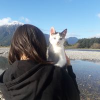 Valeria Valenzuela的照片