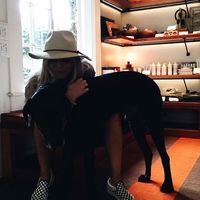 Molly Messersmith的照片